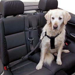 Harnais avec sangle pour voiture chien KERBL