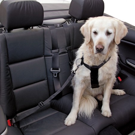 Harnais avec sangle confortable pour voiture chien KERBL - Cherypet